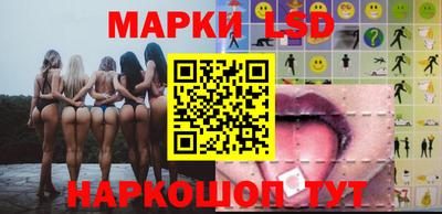 прущие грибы Новозыбков