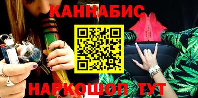 прущие грибы Новозыбков