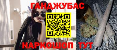 прущие грибы Новозыбков