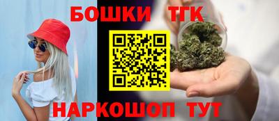 прущие грибы Новозыбков