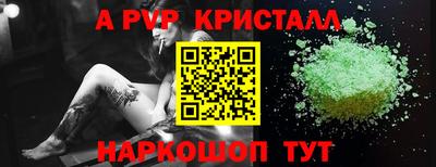 прущие грибы Новозыбков