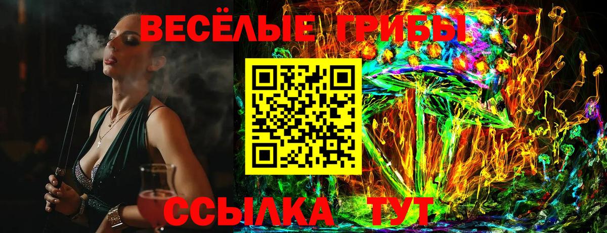 Псилоцибиновые грибы прущие грибы Партизанск