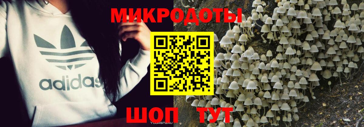 Галлюциногенные грибы Magic Shrooms  Псилоцибиновые грибы Magic Shrooms  Партизанск  где купить   Вход с VPN 